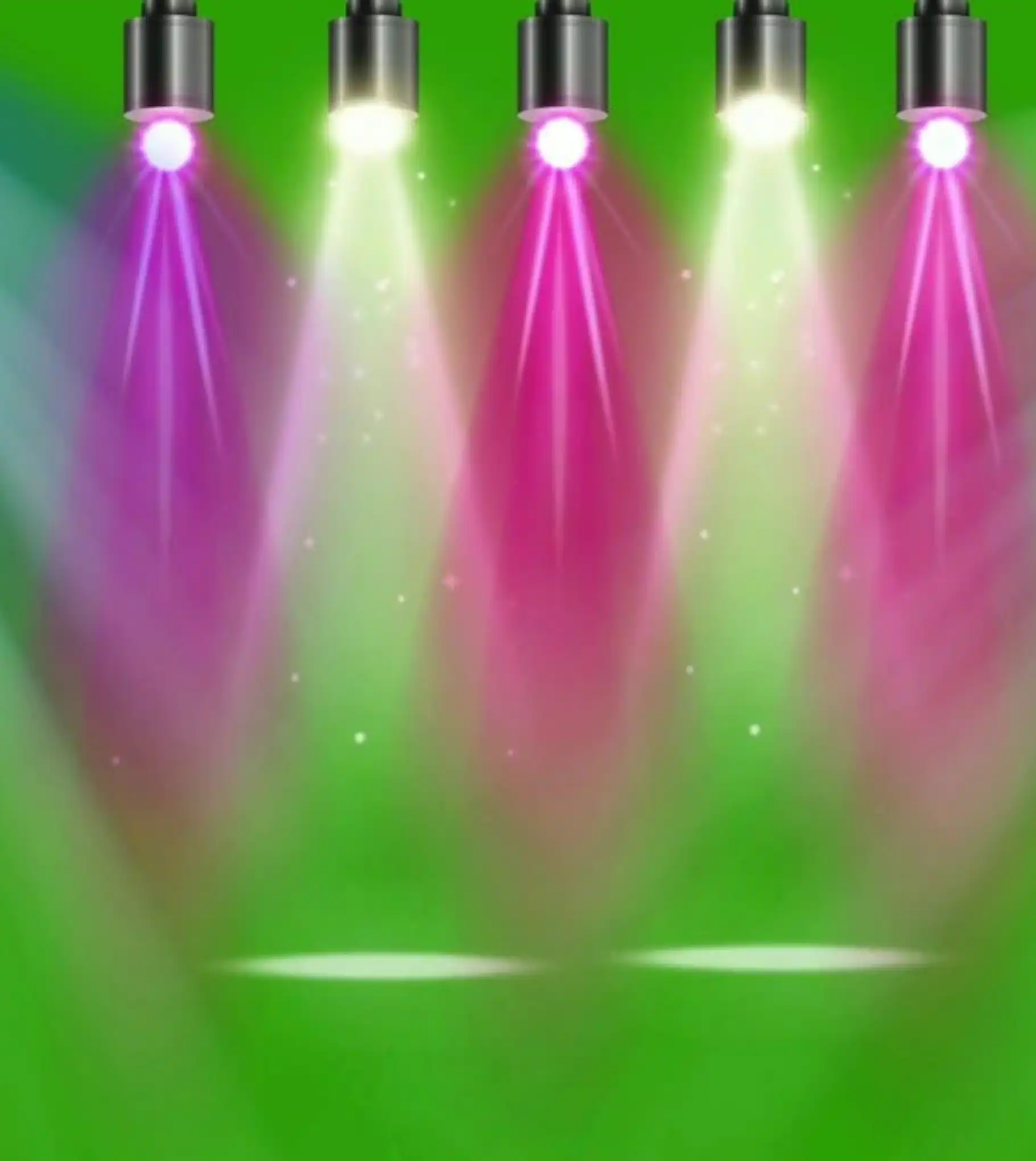 Sound and Light Management Company in Haldwani