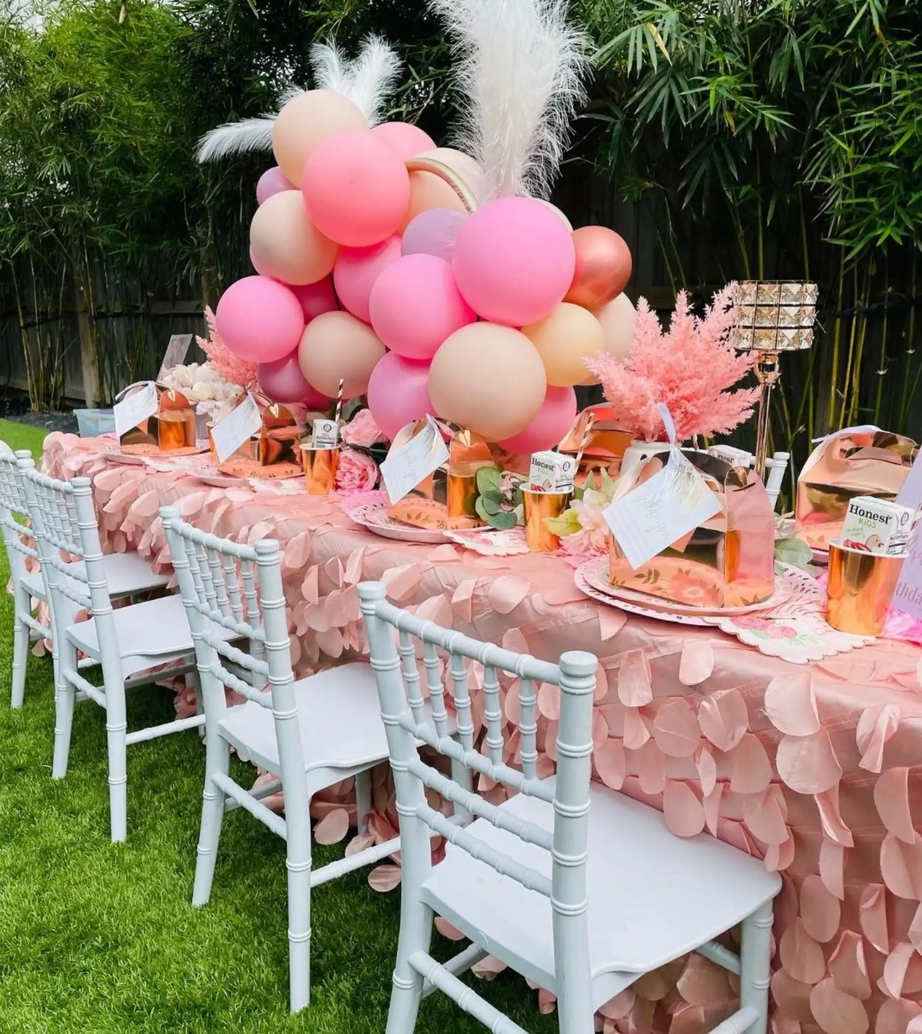 Birthday Party Planner in Jim Corbett